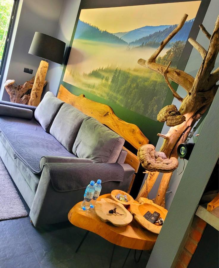 Apartament Spokoloko Mysliwski Szczyrk Dış mekan fotoğraf