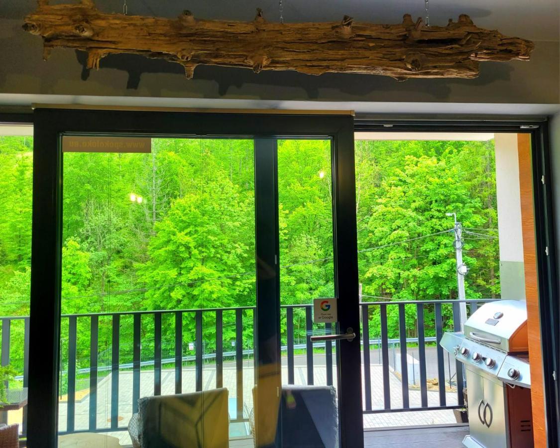 Apartament Spokoloko Mysliwski Szczyrk Dış mekan fotoğraf