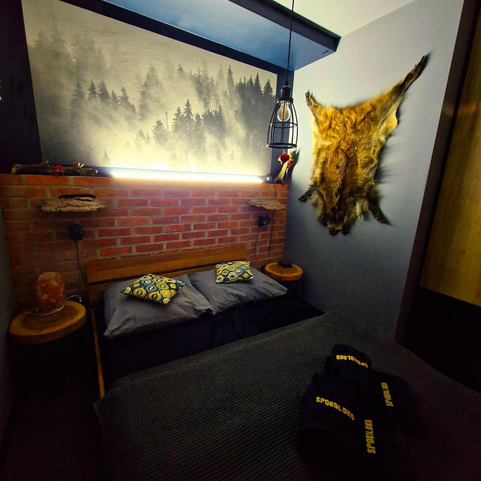 Apartament Spokoloko Mysliwski Szczyrk Dış mekan fotoğraf